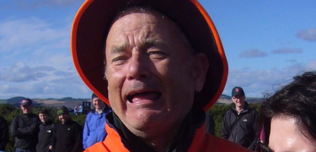 Bill Murray or Tom Hanks